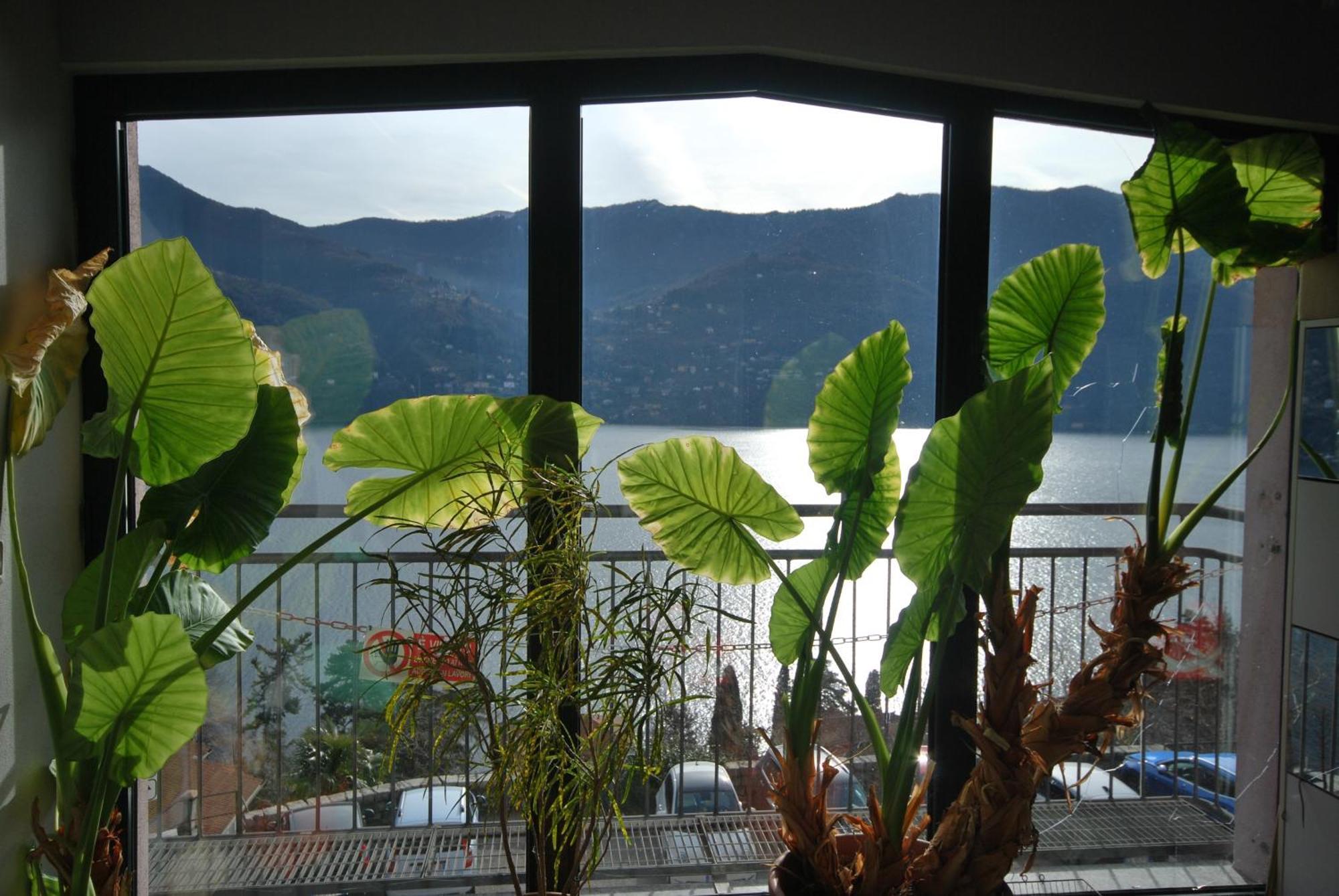 Andrea Olga House Apartment Laglio Bagian luar foto